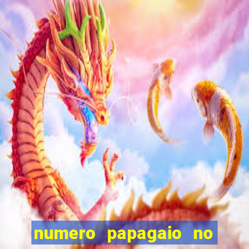 numero papagaio no jogo do bicho